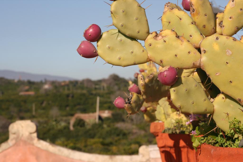 Villa Dei Leoni Santa Tecla Buitenkant foto