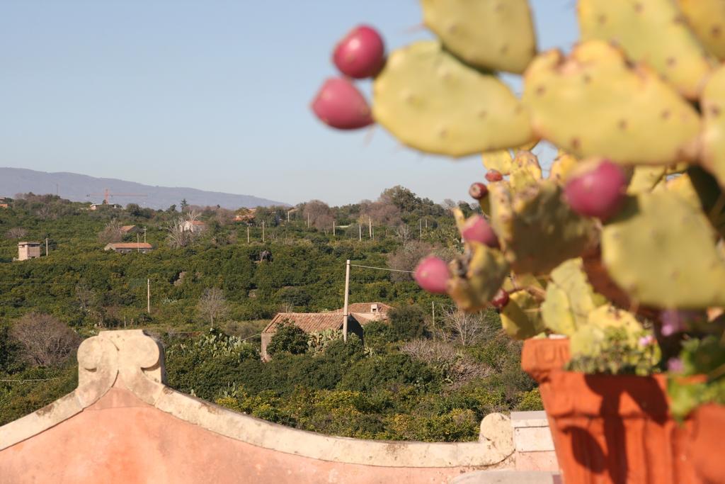 Villa Dei Leoni Santa Tecla Buitenkant foto