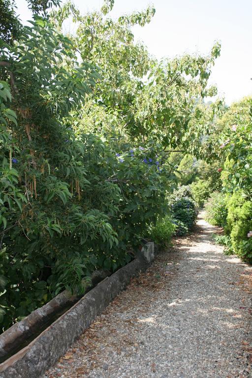 Villa Dei Leoni Santa Tecla Buitenkant foto